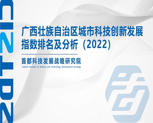 骚逼日本【成果发布】广西壮族自治区城市科技创新发展指数排名及分析（2022）